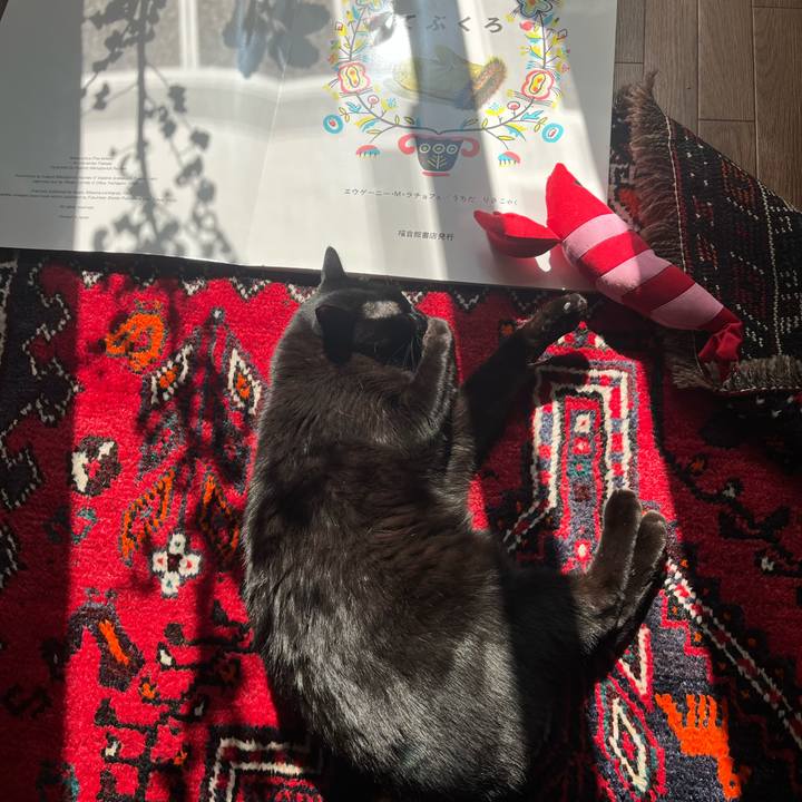 7f194e8f 55b2 4056 b90d 7c72d1bdc72b 1742018840120