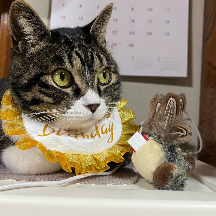 7f194f47 965e 4cc3 a464 08d85f5ac292 1776210474132