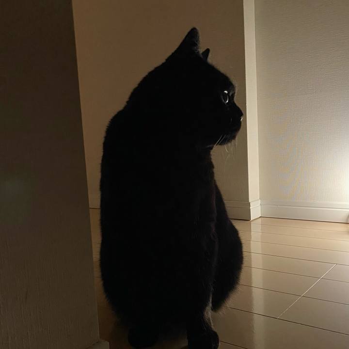 7f195374 7ab2 42b9 9136 2d993ce983c2 1619266707740