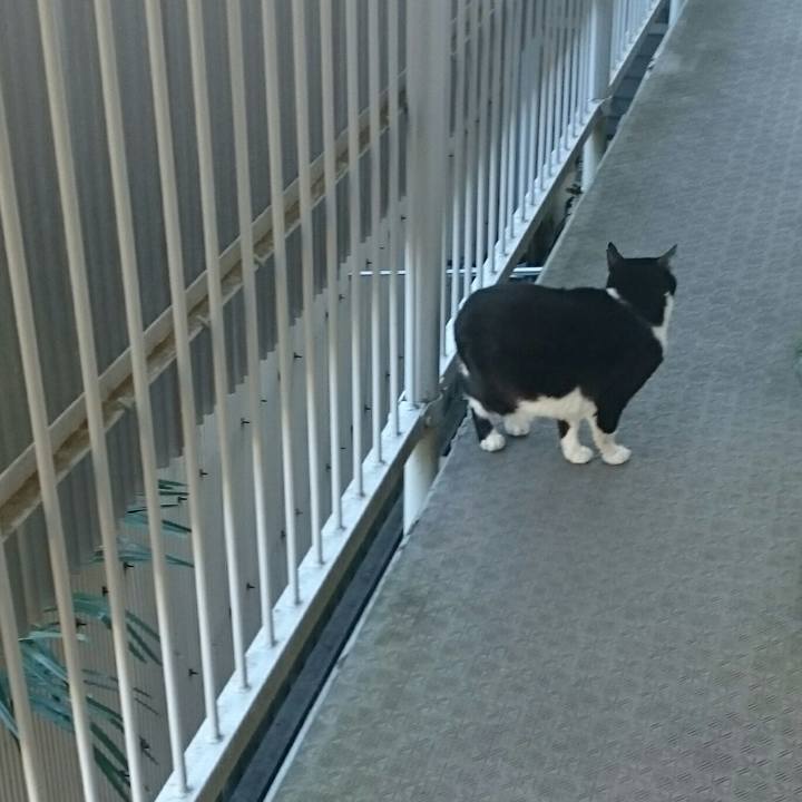 7f19538c 4e62 4421 88e0 43189d00ab5e 1512796520566