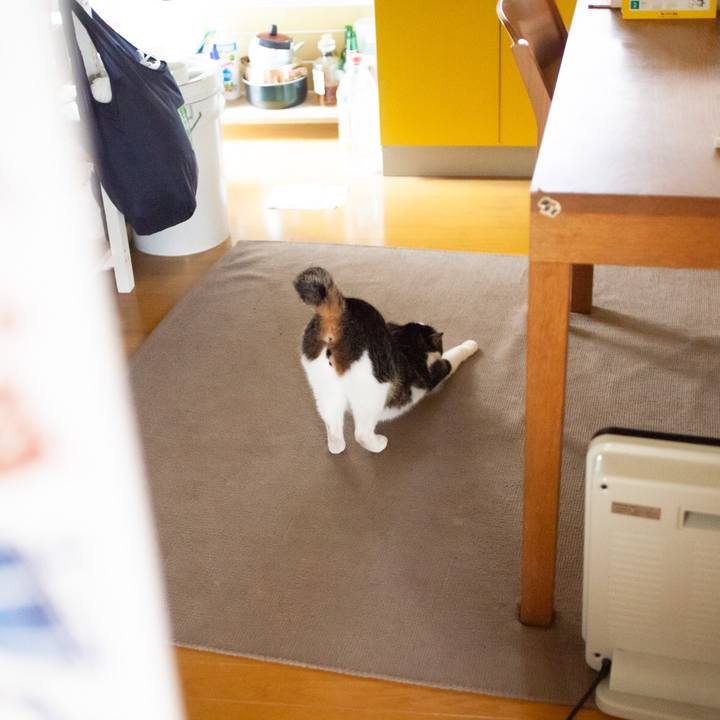 7f19af90 4c9a 4a01 afe6 9d8b8caaeb2a 1583283939195