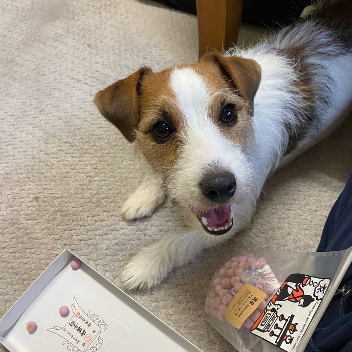 7f1a65ca 0756 4172 b2c2 d43ff783e495 1704171532520