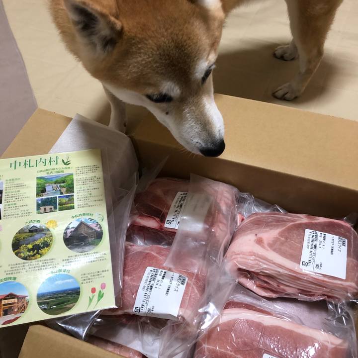 7f1a74b0 f67b 47b9 9e91 51c1f5c65f9f 1602594166670