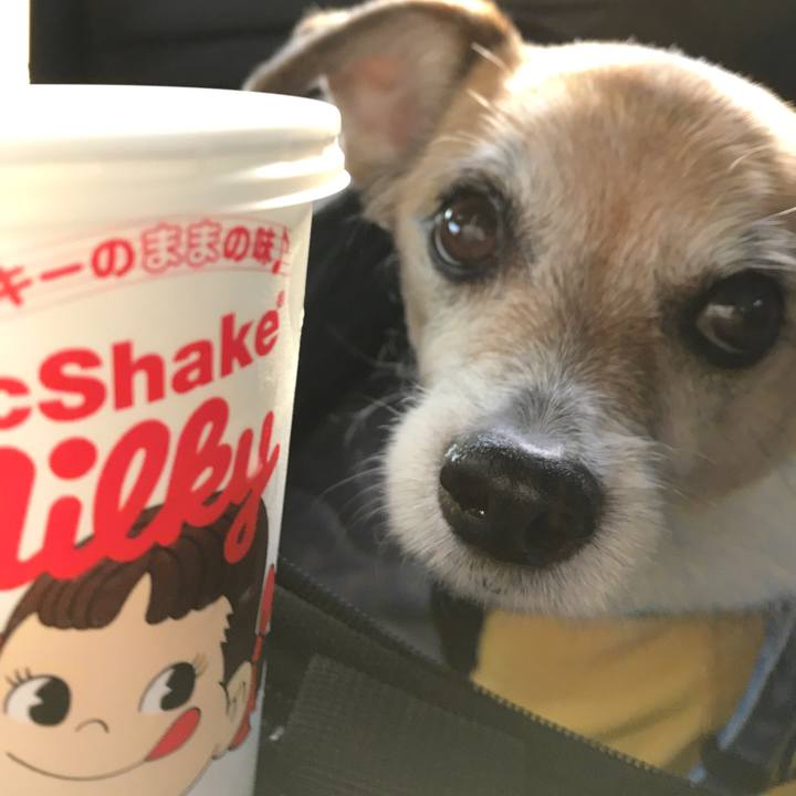 7f1a7bba ce9d 45a9 be8f 220df506b640 1619953805104