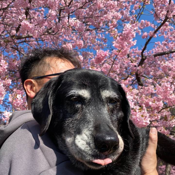 7f1aaaf6 3248 4b67 9774 8a6c8871741a 1740805302197