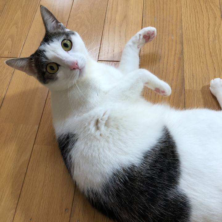 7f1ab7dd b97d 46fc 85c8 010c8569833c 1613996149549