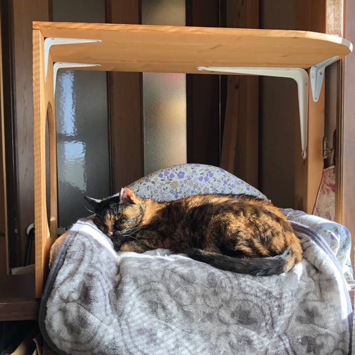 7f1ab855 e62d 48bf a3b2 655299d196c0 1716698561273