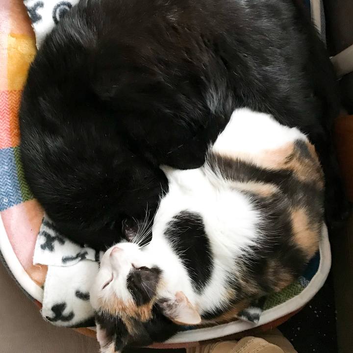 7f1ae453 66d3 4e59 af6b 74065a62ba38 1512312283770