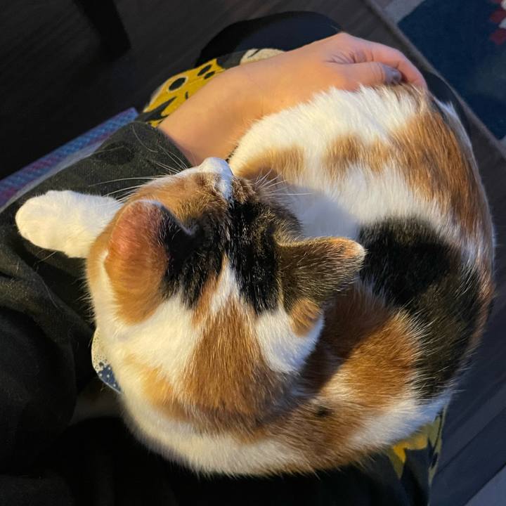 7f1b1d2f c8e9 4df6 b083 48c1a446c238 1699688078518