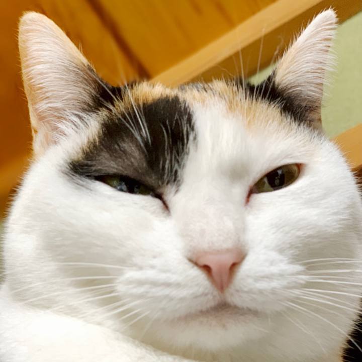 7f1b1fc7 c120 4b97 9447 eee0d11502ab 1551752547770