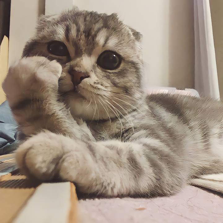 7f1b7139 b96f 4a62 b081 0b3321e981ce 1641430265654