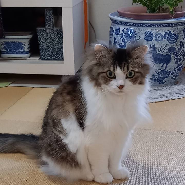 7f1b83eb 8364 4906 8cb4 a9595e0cacf0 1618355370517