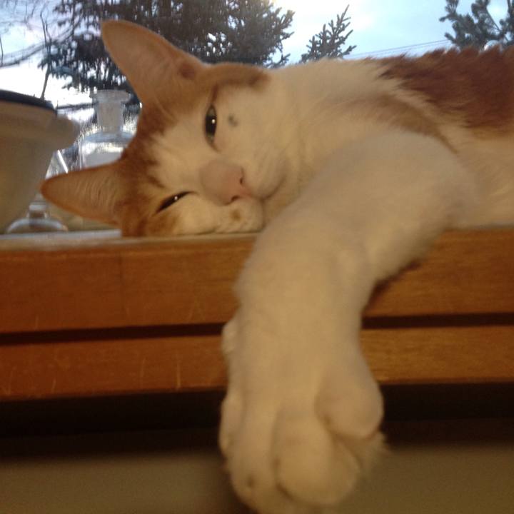 7f1b8d93 a027 47fd 97a9 2d3b1434da2b 1513288050859