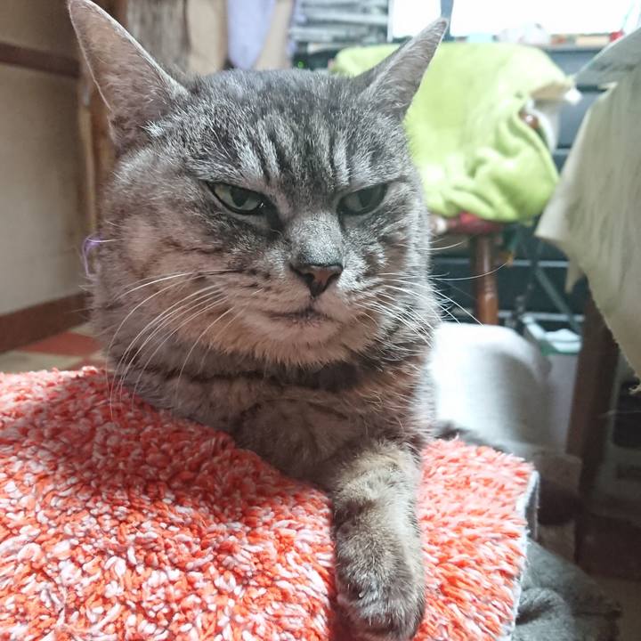 7f1ba598 415e 4523 91f8 49d7f10b0664 1582325697693