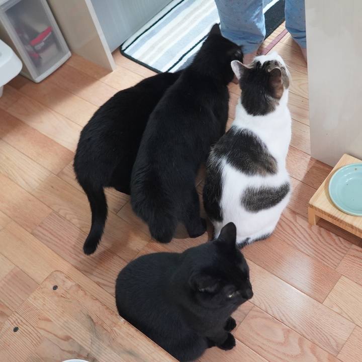 7f1ba6f9 58e1 4bfc b49c 2a886e28d829 1601094291945