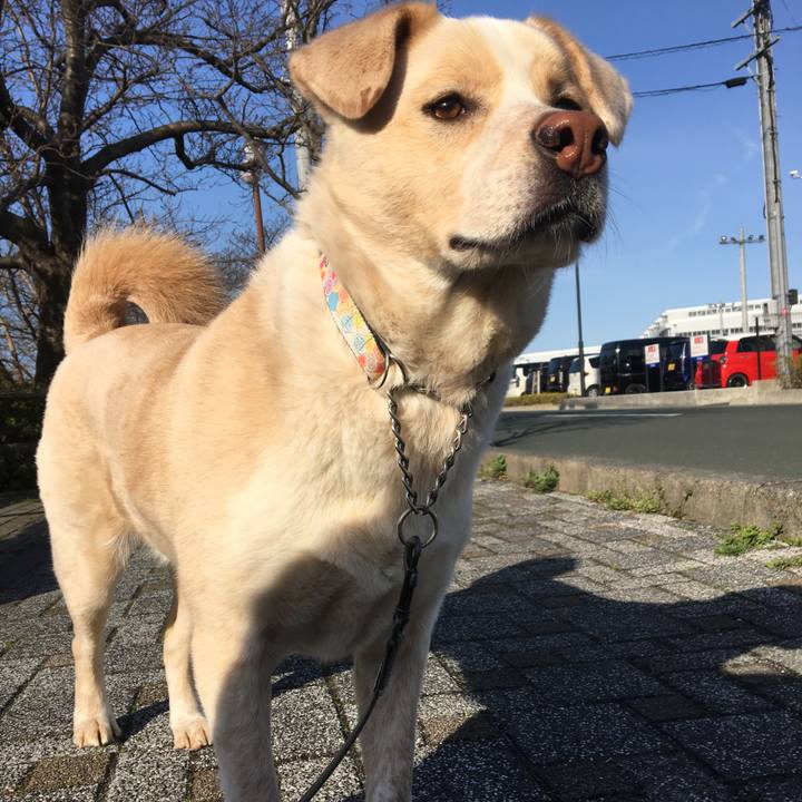 7f1bcc08 9279 4cfe 82e3 a7fc09e3bedc 1523084934661