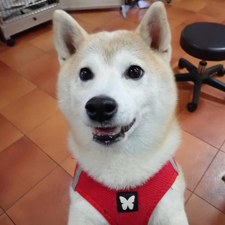 7f1bf2cf 47b2 4b3e 9514 bb1220e67543 1733348931063