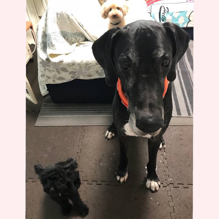 7f1c177e 03b3 454f bd4e 9f9f04226abd 1536274590205