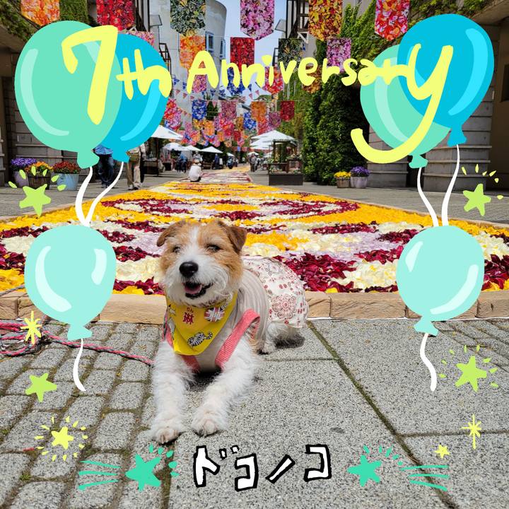 7f1c48c1 892a 4ca6 9b1b 7d3af2fc1629 1685959306607