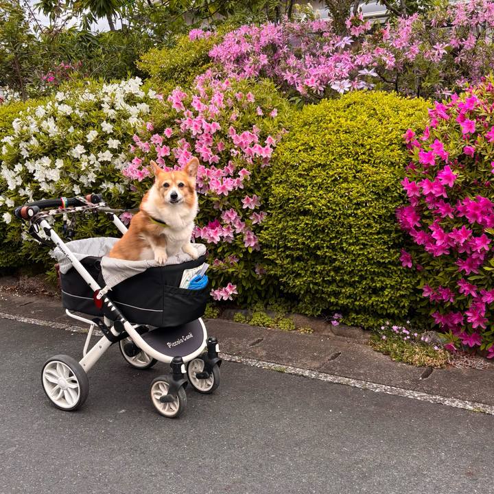 7f1c703c 2aff 41b0 9997 b2a33e54486b 1776909233183