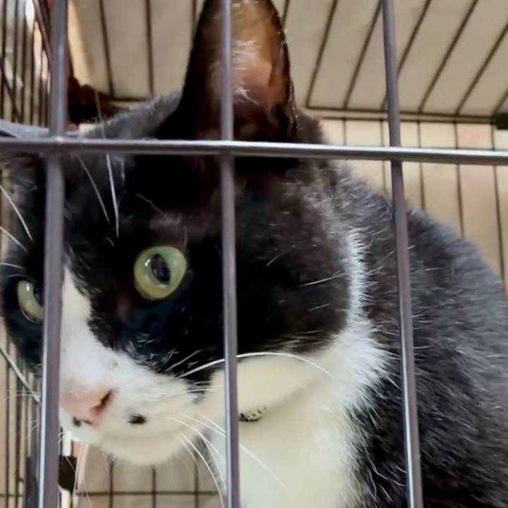 7f1cab16 0868 4a61 80ce ce4146edaa60 1750075581991