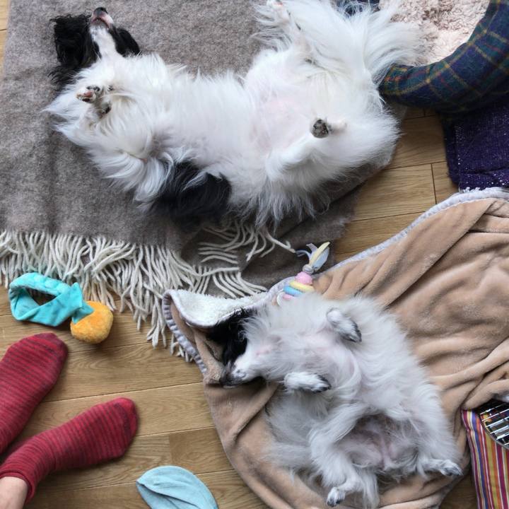 7f1cdaa1 daec 43db 93e4 0f1ecf11e91d 1508028834480