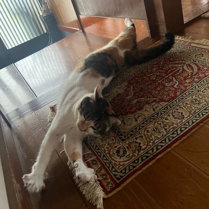 7f1ce409 3b8c 4015 b85b f796db2b7453 1758331930820