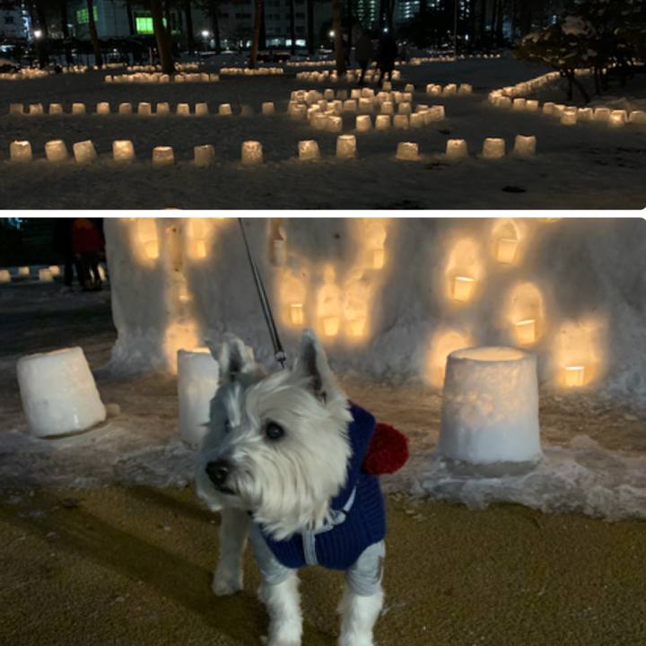 7f1ce42c ee8a 4af3 acfb 0d10ef58920f 1581082152767