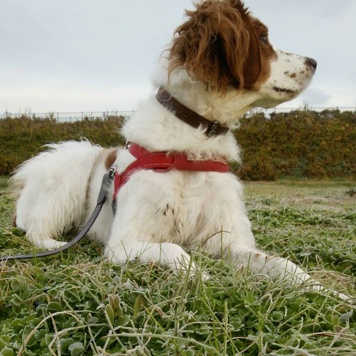 7f1d8988 95e2 4d25 b7c2 53dadc481977 1544401442480