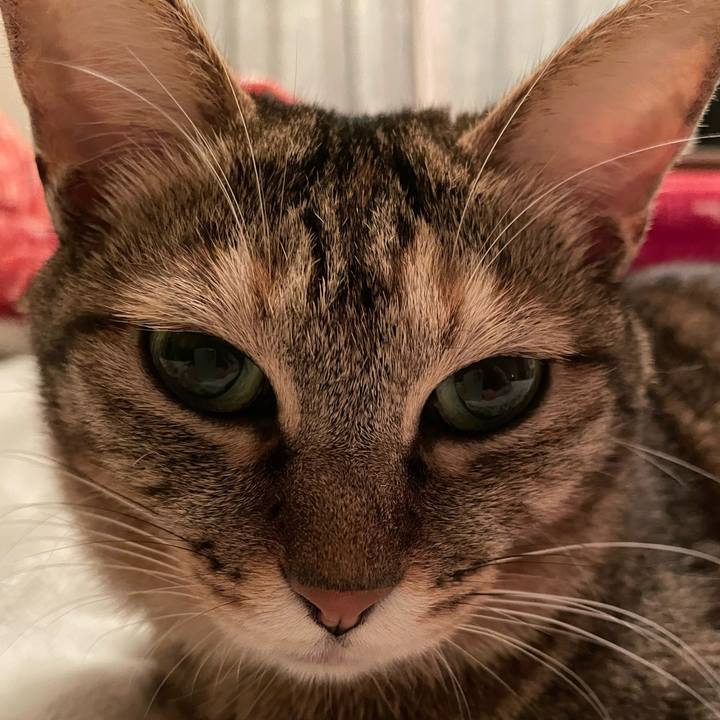 7f1daf87 7fc9 4db5 a855 9a7a70cc2452 1640441854384