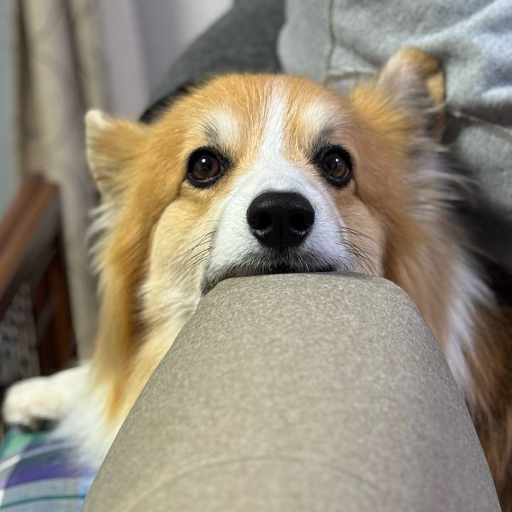 7f1dc4fe bae2 47ab 8e62 3cf5733086e3 1767709292724