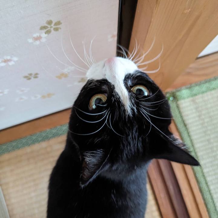 7f1dfc9f 0135 4f12 ab1e a4da730bef54 1707881776692