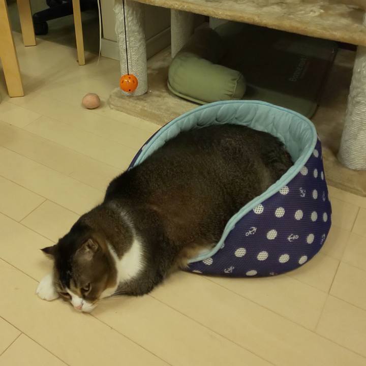 7f1e1129 c8d0 4789 8529 f85bbb6759bf 1698763582639