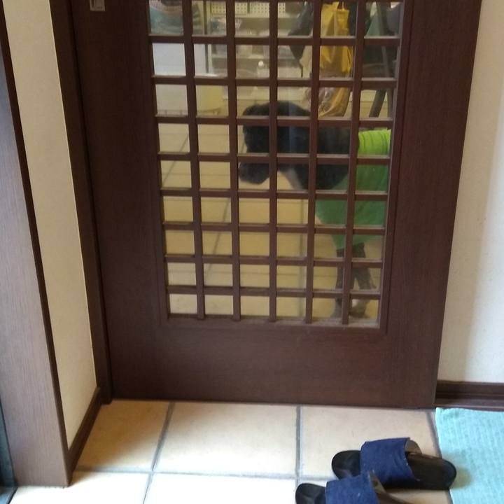 7f1e1969 ec8a 4d17 96b1 d6b9fdadb0d4 1606470576935