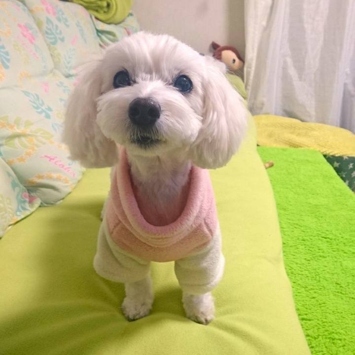 7f1e3bbe 83ab 4605 b4c5 f4a818e078b3 1517137143568