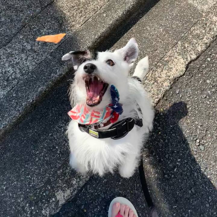 7f1e81e3 3526 4dce b814 d1adf890f8ae 1753313011397