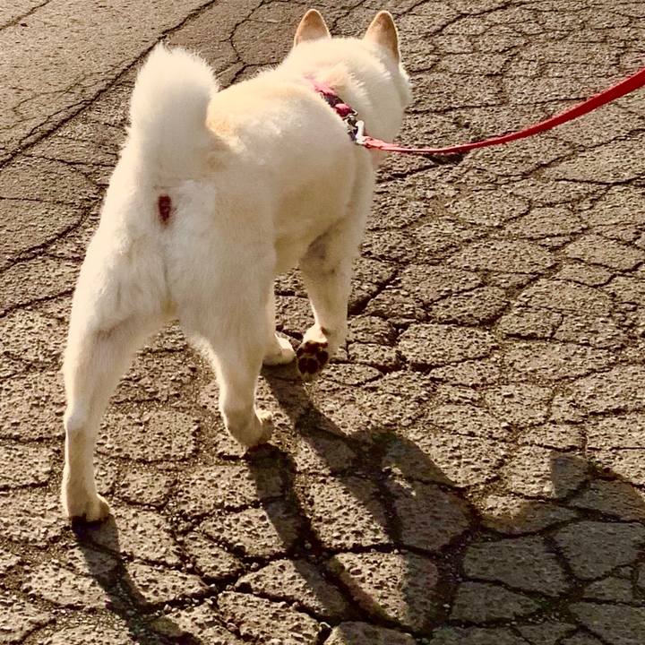 7f1e85ad 77ab 434c 8253 5d2783f7b5f5 1591048844133