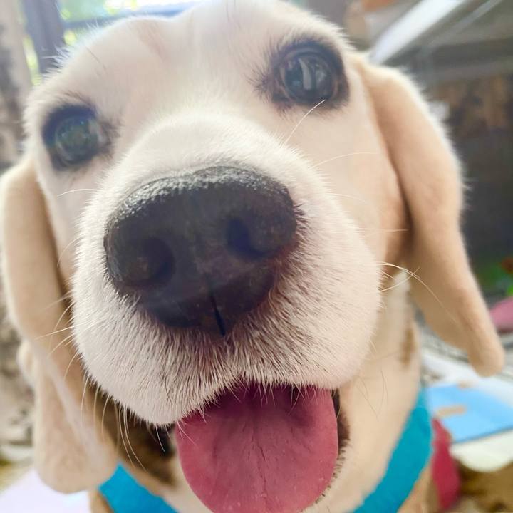 7f1e8fb2 643a 4b67 a441 b5350679f797 1645933584816