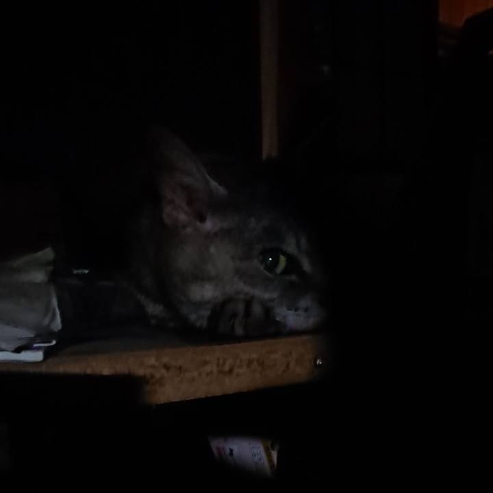 7f1e9158 c225 41a6 a91b 0661ed85f7cd 1564143221597