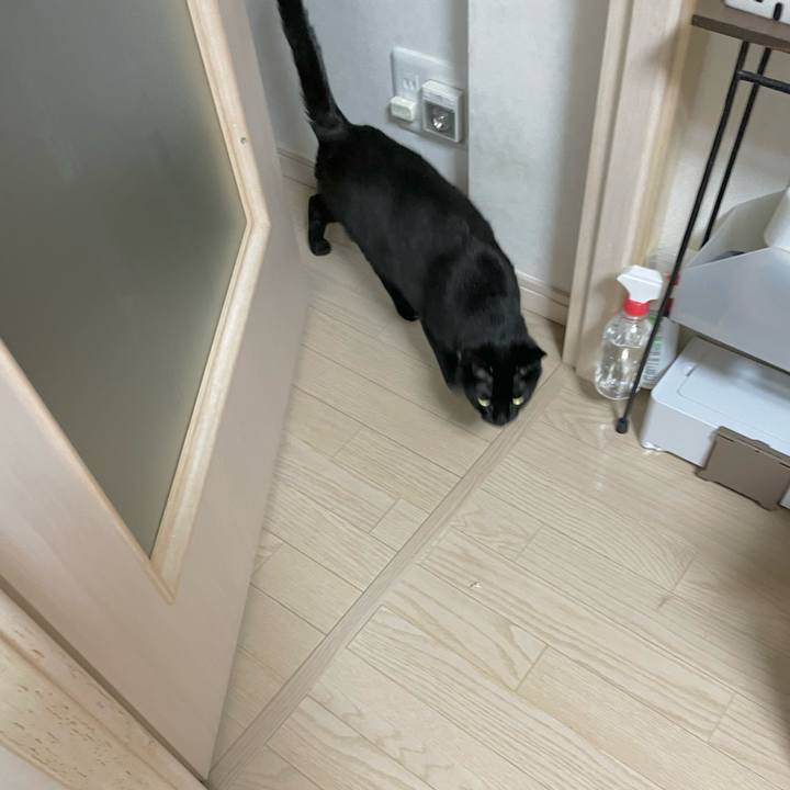 7f1ecf56 8219 437c 9f9c 41c2b58f1ba9 1652358563583