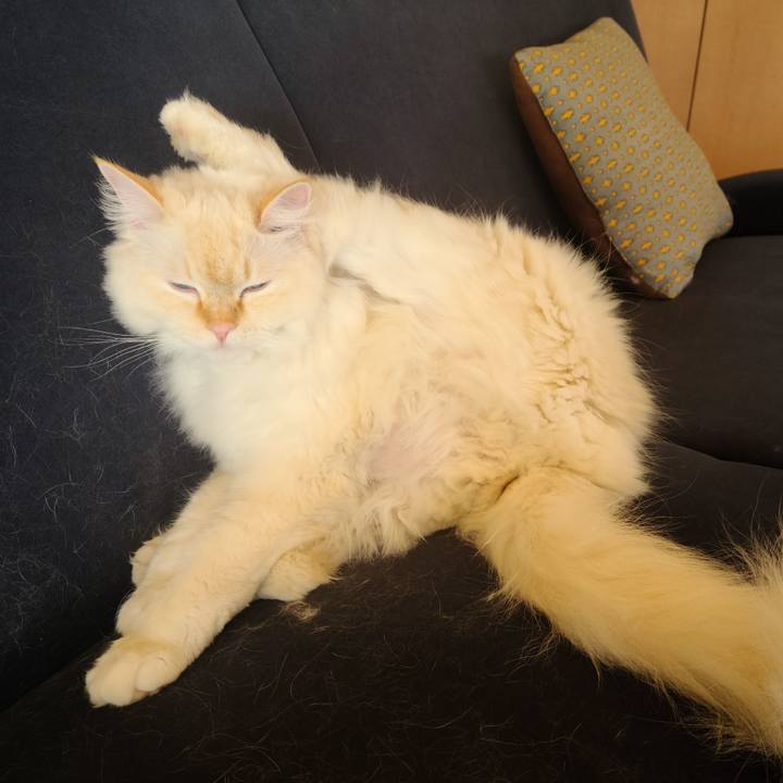 7f1ed003 d853 4a07 b7a7 9d81fb31e4c5 1681373597828