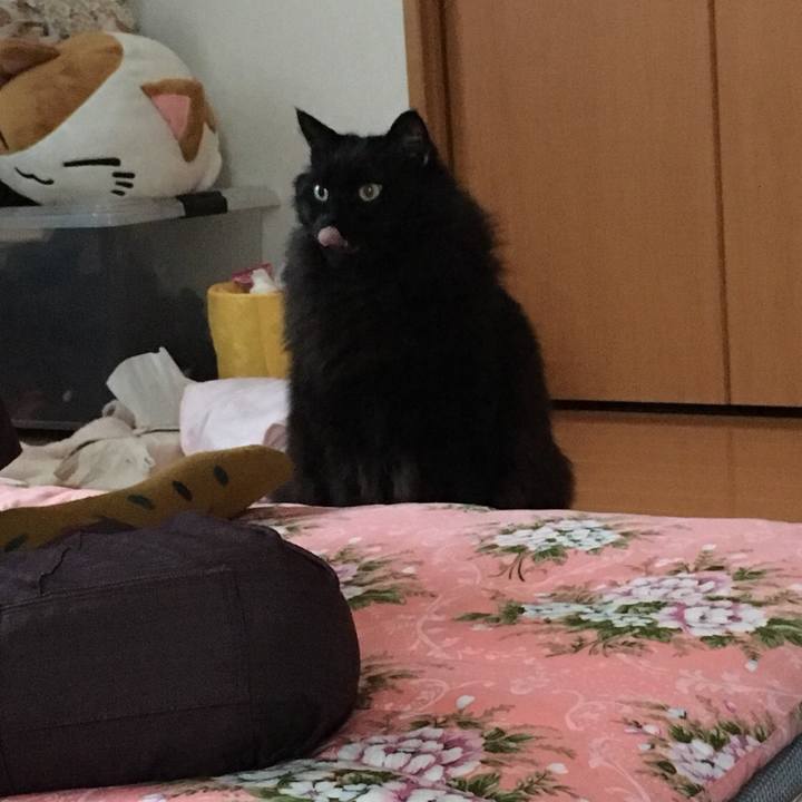 7f1ed679 d667 41cb a376 e4a2693f90a9 1550403985827