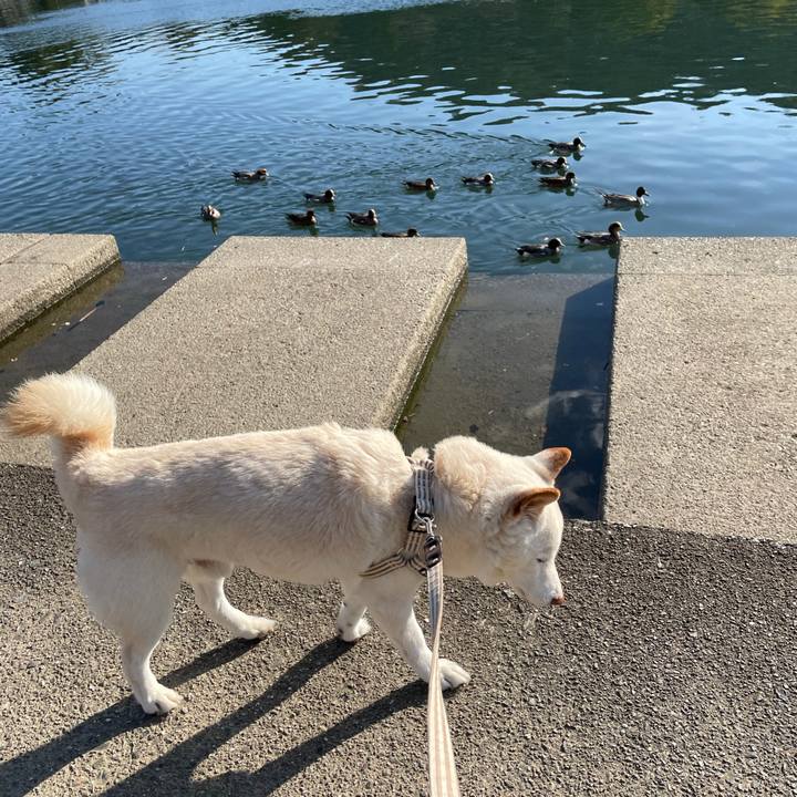 7f1ee2b9 b949 4e63 ab25 2c7f767c37d6 1639390326641