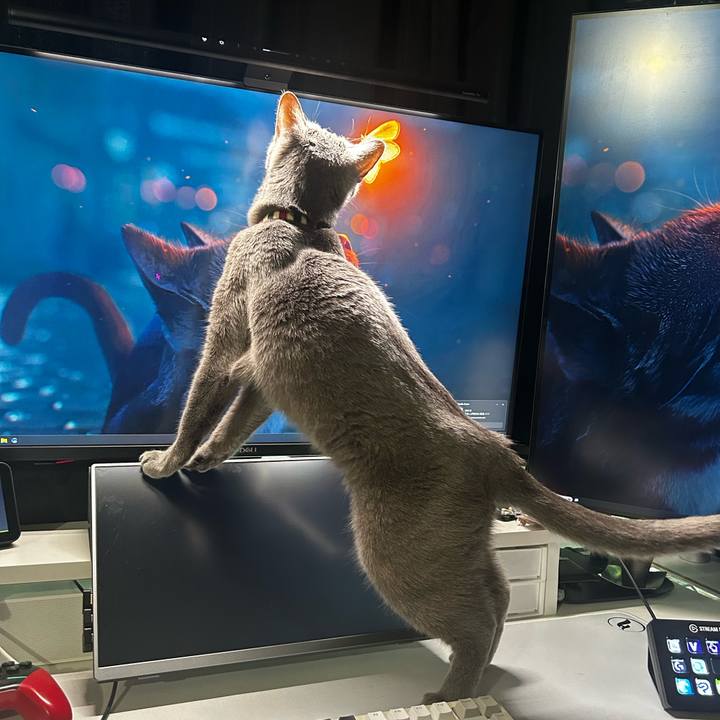 7f1f3664 0045 4358 9b85 00aa0c723b1a 1739847219717