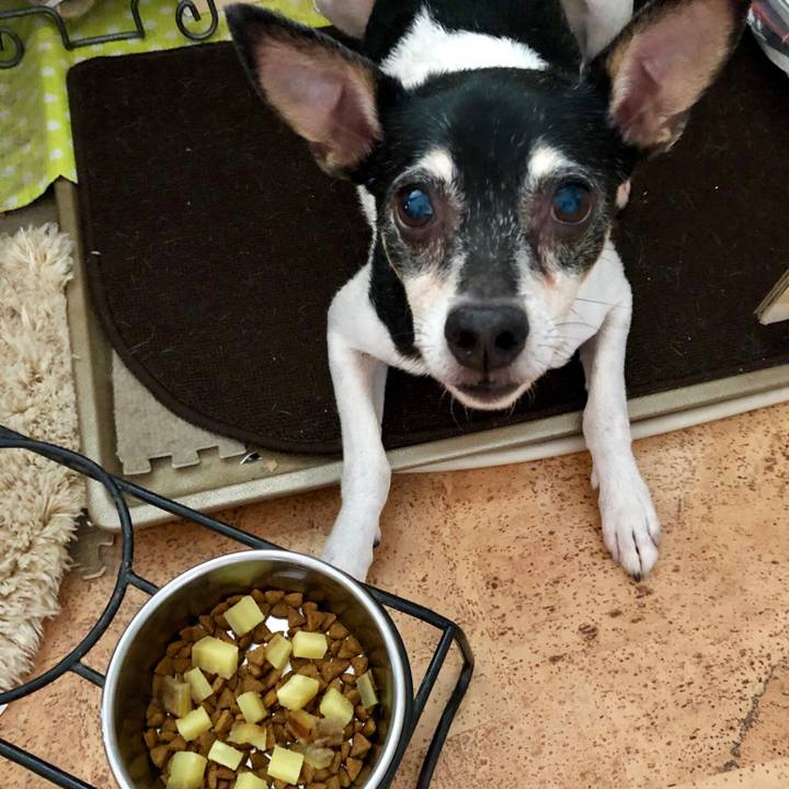 7f1f3a39 af57 429f a23e e7fdcee7ca15 1556062674122