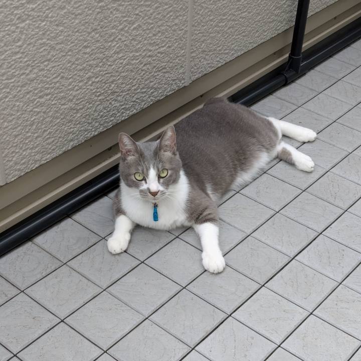 7f1f6f02 28fc 4879 9975 2ebad6b93471 1760326289163