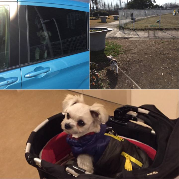 7f1f764a 6170 4ea0 ae66 5eb2d003230f 1516513605308