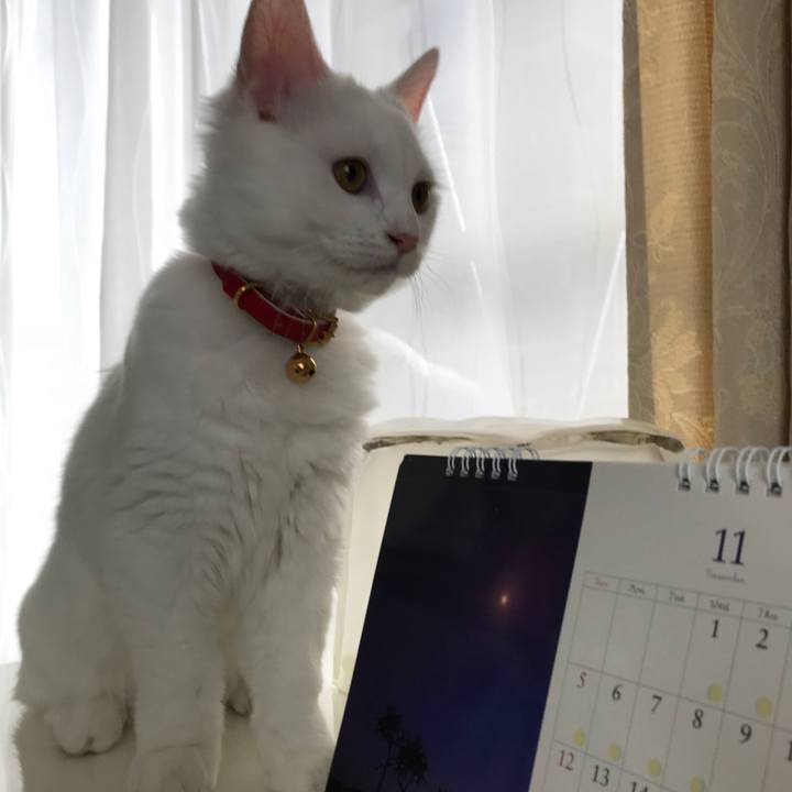 7f1f771a 1c36 4e21 af30 50c60882b70a 1512004682778