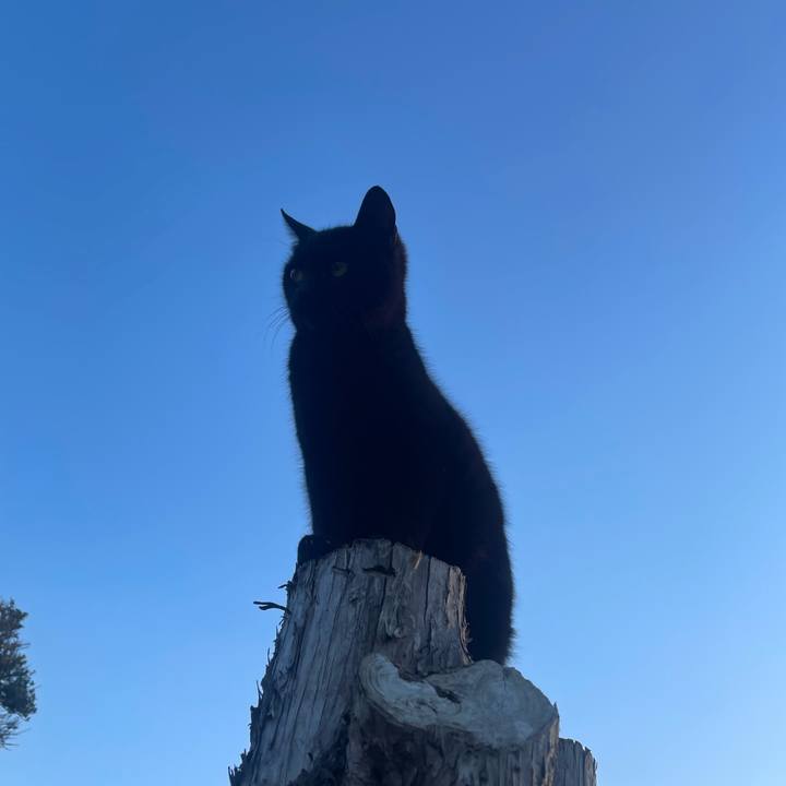 7f1f84ee 1f7d 4f21 bce6 076ef0c32200 1773219048033