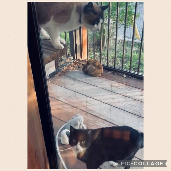 7f1f8c78 6f52 42dc a627 cf898bf712dc 1774527092563